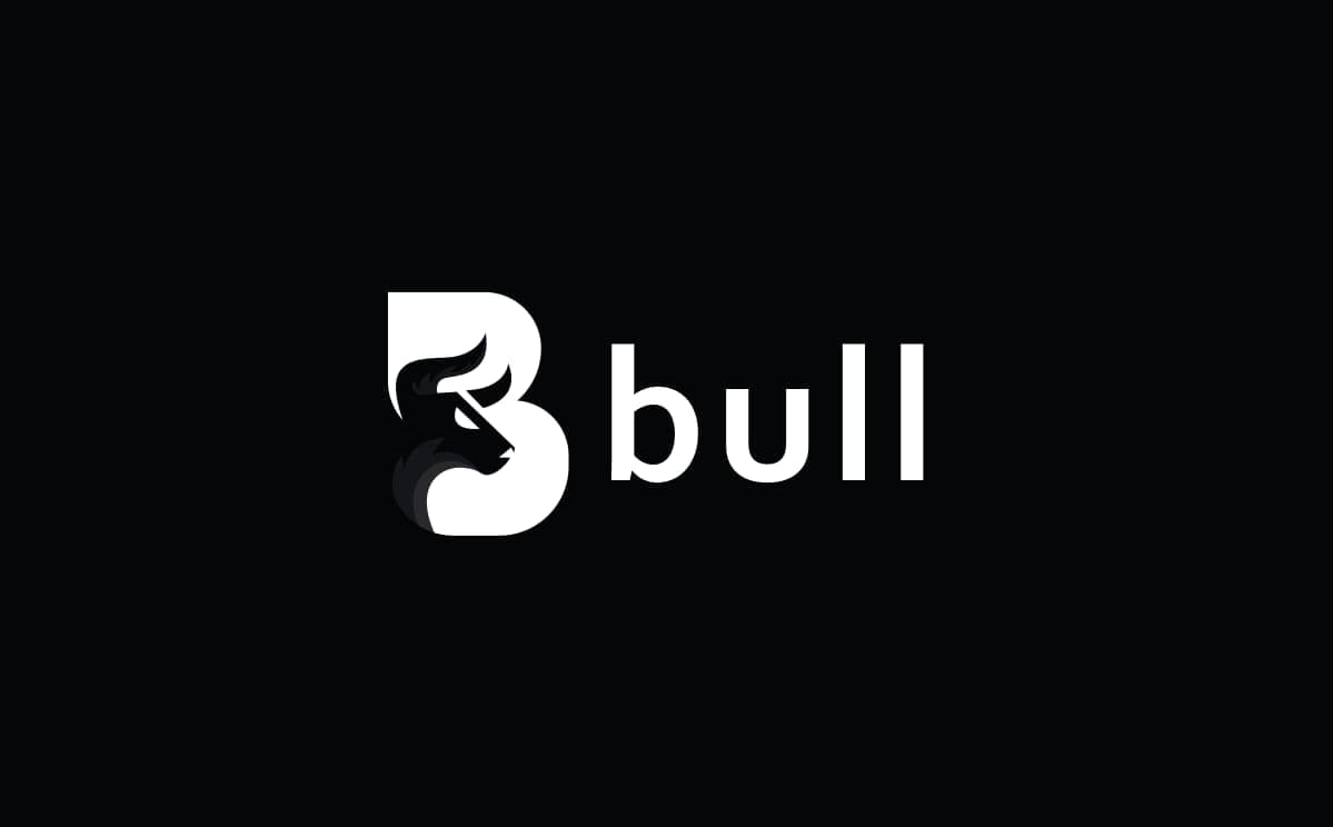 Brand Identity Showcase 13