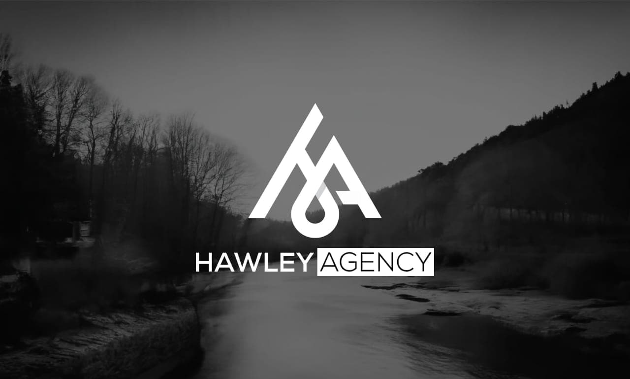 Brand Identity Showcase 16